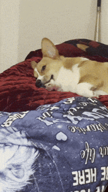 a dog is laying on a bed with a blanket that says " be here "