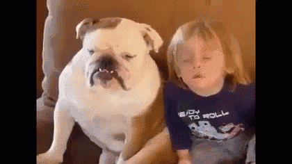 a little girl is sitting next to a large white dog .