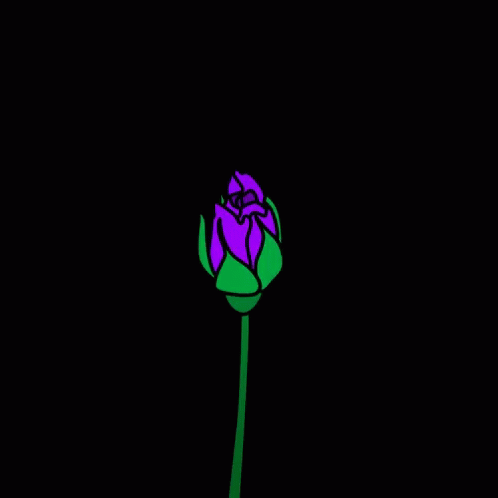Blooming Flower GIF - Blooming Flower Purple GIFs