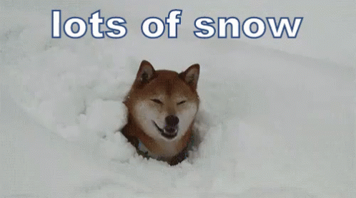 Lots Of Snow GIF - Lots Of Snow Snow Winter GIFs