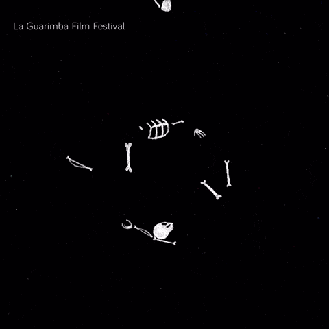 a poster for the la guarimba film festival shows a circle of skeletons