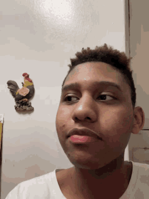 a young man looks at the camera in front of a rooster statue on a wall