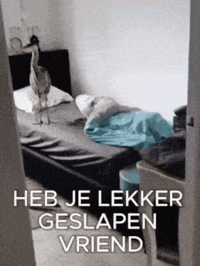 a bird standing on a bed with the words heb je lekker geslapen vriend written below it
