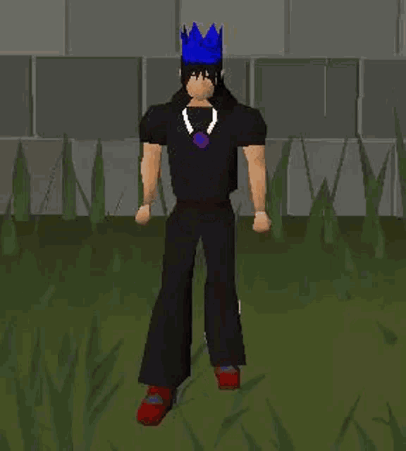 a man in a black shirt and black pants is standing in the grass wearing a blue crown and a necklace .