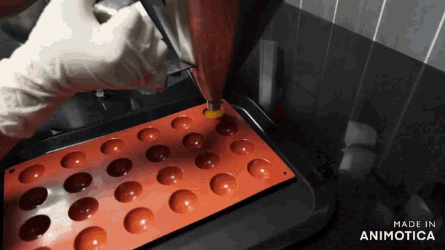 a person is pouring liquid into a silicone mould that says made in animotica on the bottom