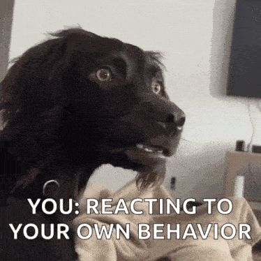 a close up of a dog with the words you reacting to your own behavior written on it