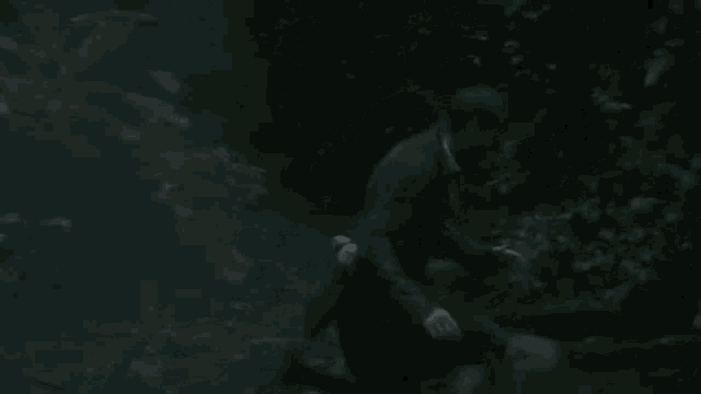 a person is holding another person 's hand in the dark .