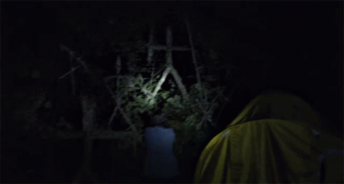 Woods Forest GIF - Woods Forest Scary GIFs