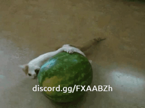 Watermelon Cat GIF - Watermelon Melon Cat GIFs