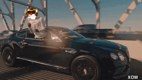 a black car with a tiger on the driver 's head and the word xom below it