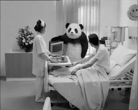 Panda Enojado GIF - Panda Drop Monitor GIFs