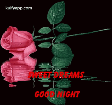 Sweet Dreams - Good Night.Gif GIF - Sweet Dreams - Good Night Good Night Good Night Wishes GIFs