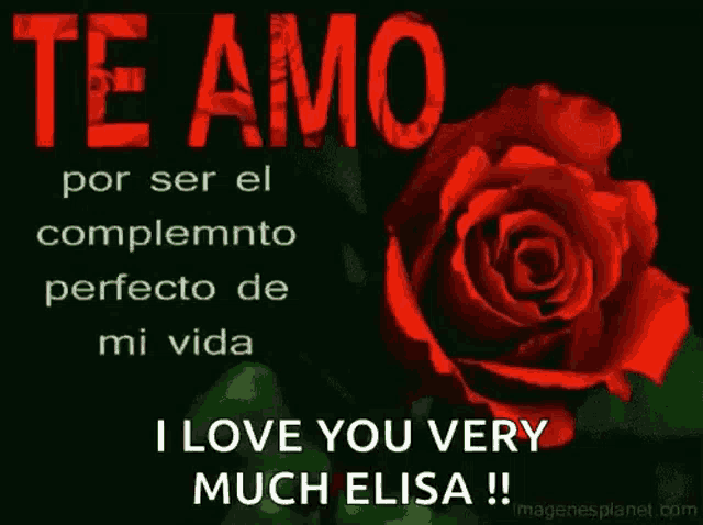 a red rose with the words `` te amo por ser el complemento perfecto de mi vida '' on it .