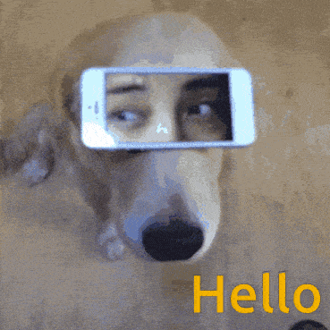 a dog taking a picture of a woman 's face with a cell phone in front of its face and the words hello below it