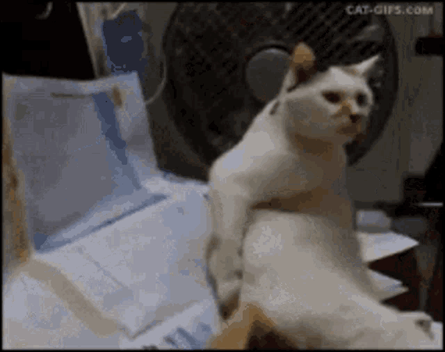 I Need Privacy Plz Itchy GIF - I Need Privacy Plz Itchy Scratch GIFs