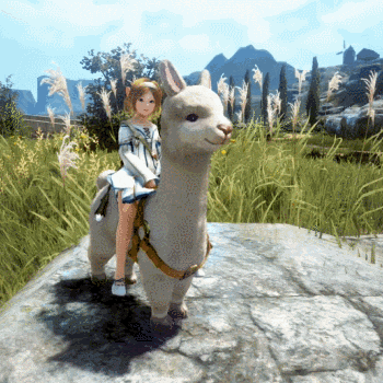 a girl is sitting on the back of a llama