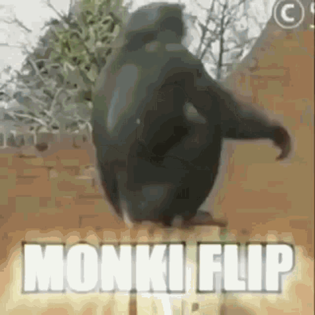 Monkey Happy GIF - Monkey Happy Flip GIFs
