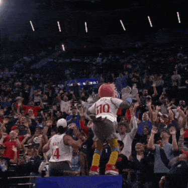 a mascot wearing a 310 jersey stands in front of a crowd
