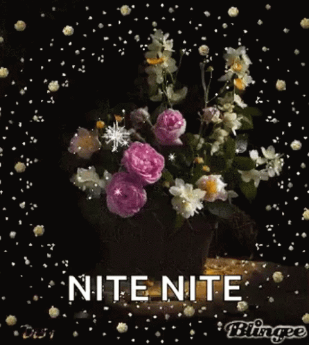Nite Nite Goodnight GIF - Nite Nite Goodnight Sparkles GIFs