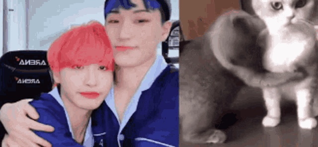 a man with pink hair is hugging another man and a cat is standing next to them .