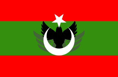 a green and red flag with a black bird and a white star