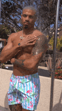 a shirtless man in flamingo shorts is standing under a shower head