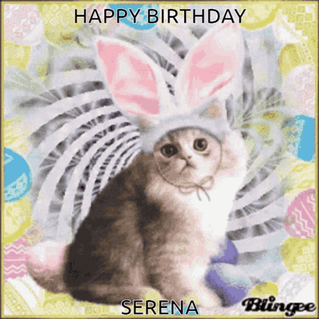 a cat wearing bunny ears and the name serena