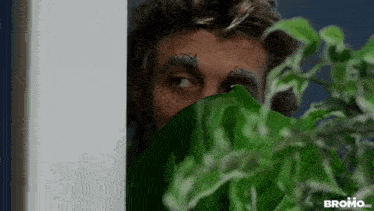 a man with a tattoo on his face is peeking out from behind a leaf .