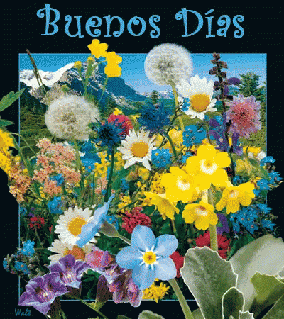 Buenos Dias Flores GIF - Buenos Dias Flores Flowers GIFs