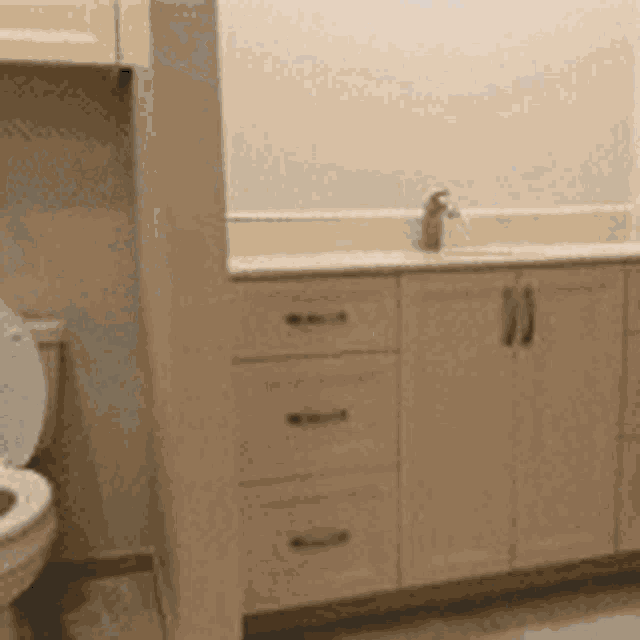 a bathroom with a toilet a sink and cabinets