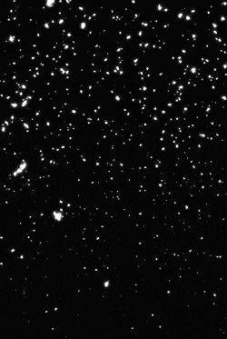 snow is falling on a black background in the night sky .