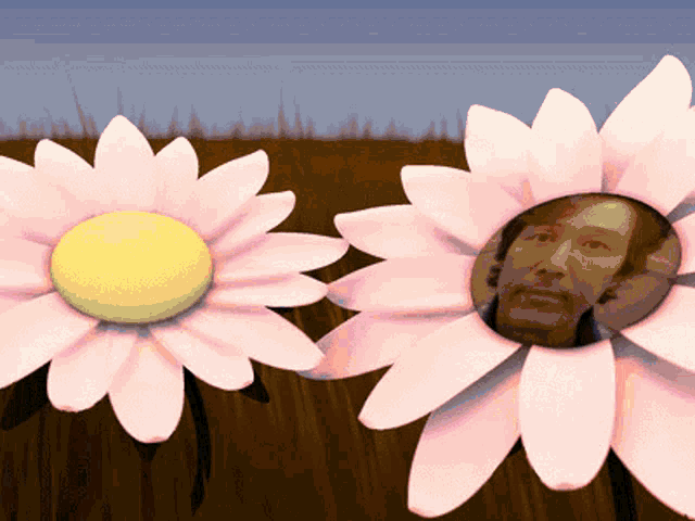two flowers with a man 's face in the center