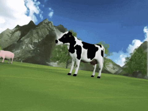 a black and white cow standing in a grassy field with mountains in the background
