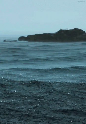 Ocean Beach GIF - Ocean Beach Waves GIFs