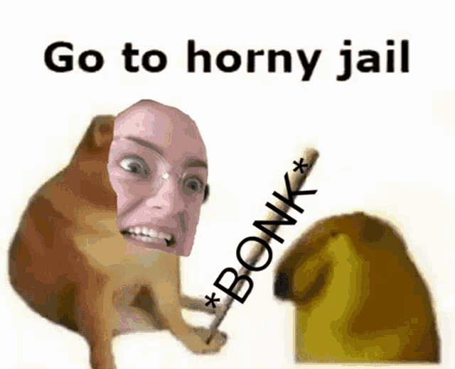 a picture of a dog with a woman 's face on it and the words go to horny jail