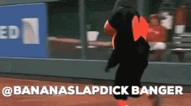 Bananaslapdick Baltimore Orioles GIF - Bananaslapdick Baltimore Orioles Orioles GIFs