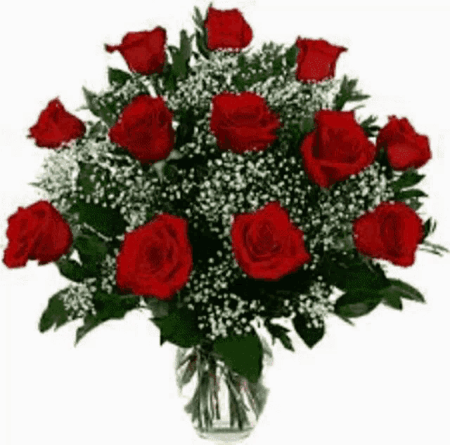 a vase filled with red roses and white baby 's breath