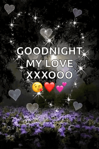 a picture of purple flowers with the words goodnight my love xxoooo