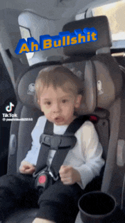 a baby is sitting in a car seat with the words ah bullshit written on it
