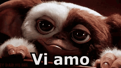 a close up of a stuffed animal with the words vi amo written on it