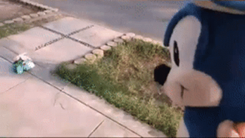 Funny As Hell To Overlay Sonic GIF - Funny As Hell To Overlay Sonic Funny As Hell GIFs