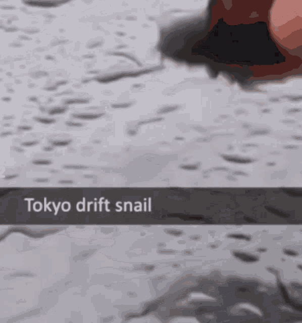 Snail Drift GIF