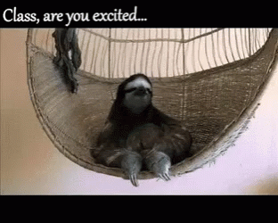 Sloth Exam GIF - Sloth Exam GIFs