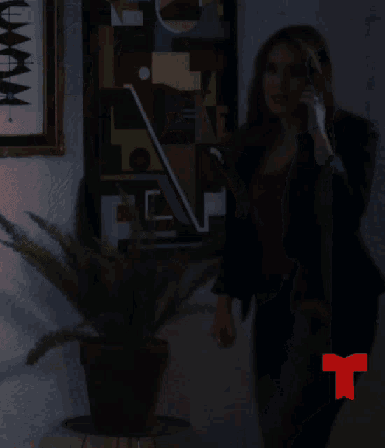 a woman talking on a cell phone with a red t on the bottom right