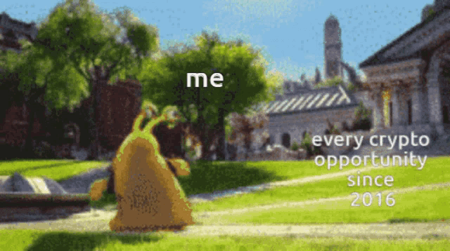 a picture of a cartoon character with the words me every crypto opportunity since 2016 on the bottom