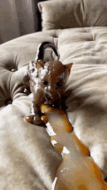 a cat covered in melted chocolate is laying on a bed