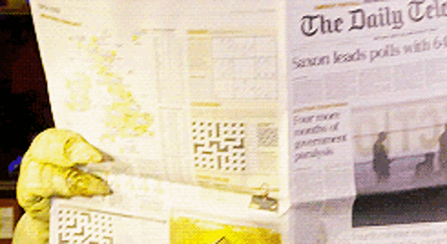 a newspaper that says the daily tele on the top