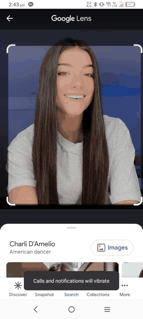a screenshot of charli d' amelie 's google lens