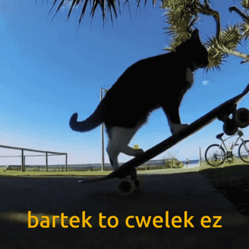 Bartek Cwelek GIF - Bartek Cwelek Ez GIFs