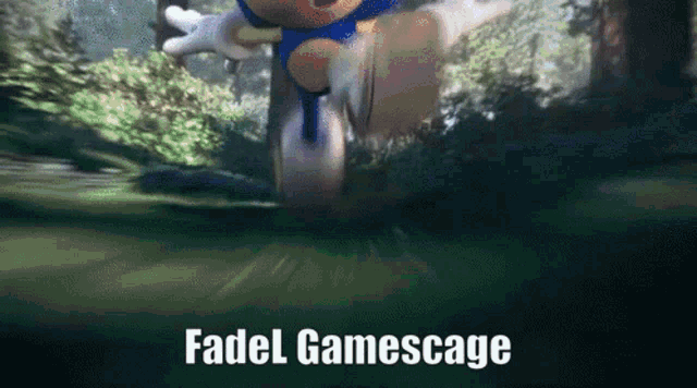 Sonic The Hedgehog Fadel GIF - Sonic The Hedgehog Fadel Gamescage GIFs